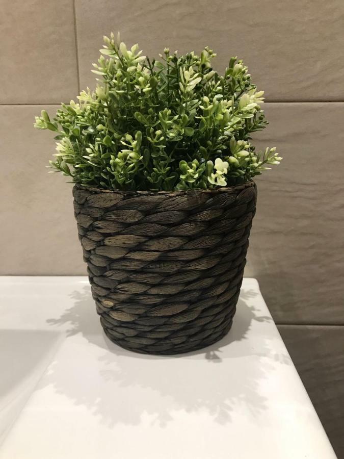 Apartamentos Alameda Ronda Ngoại thất bức ảnh